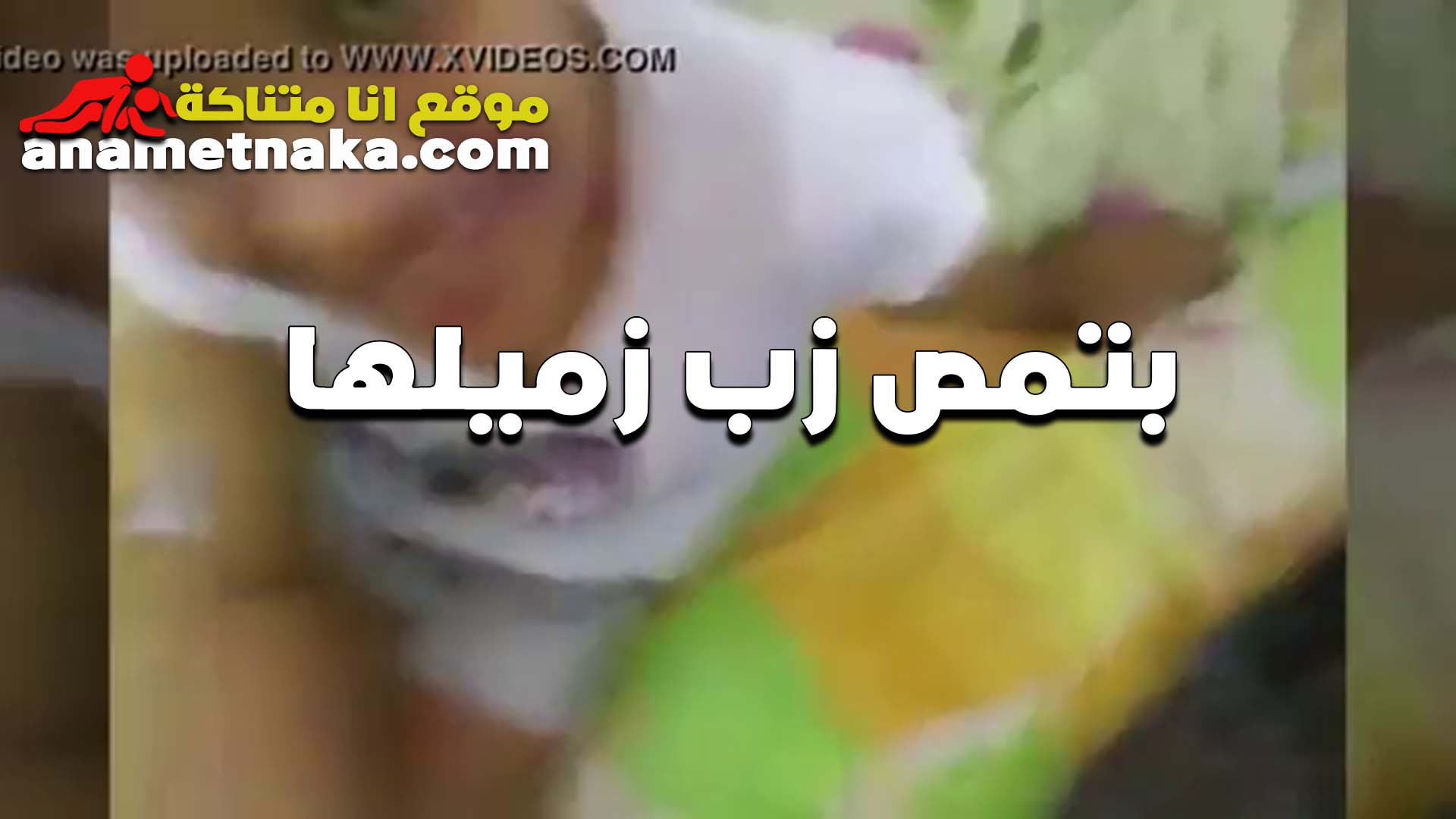 بتروح مع سكس مصر زمليها البيت بعد الشغل عشان تمص زبره وتريحه الشرموطه بتعشق الينك من زبره